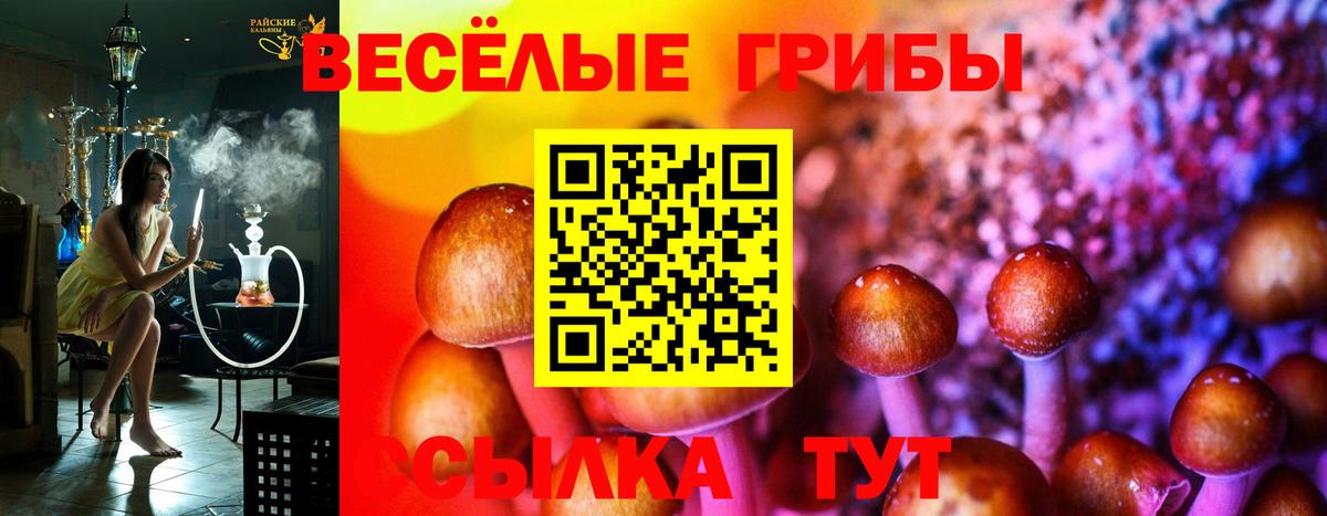 Усть-Илимск  Псилоцибиновые грибы Magic Shrooms  Вход с VPN 